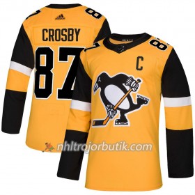 Män Ishockey Pittsburgh Penguins tröja Sidney Crosby 87 Alternate Adidas 2018-19 Authentic
